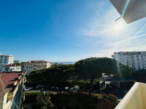 Cannes appartement à 300 m des plages
